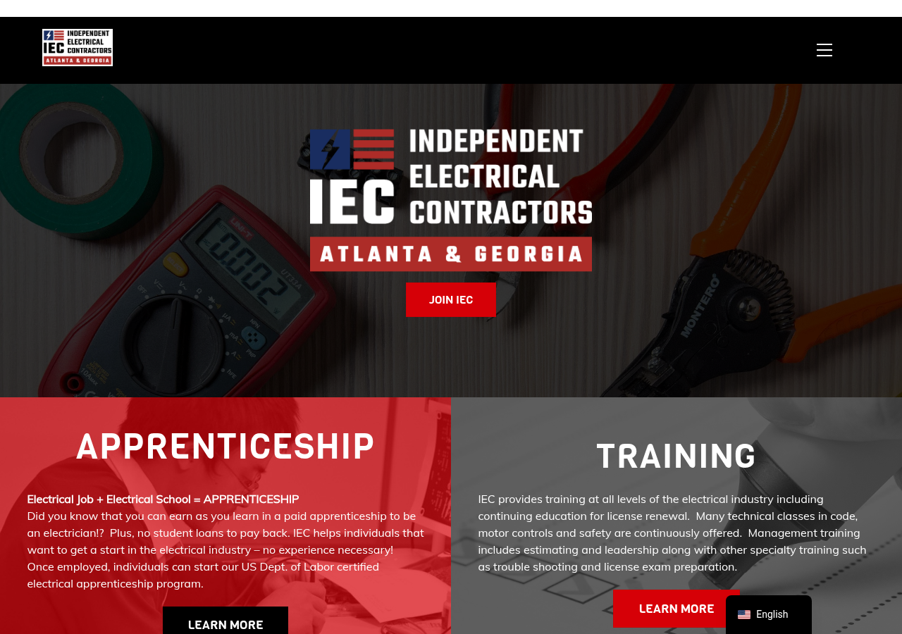 Screenshot of Non-Profit Trade Organization | IEC Atlanta & Georgia Chapters