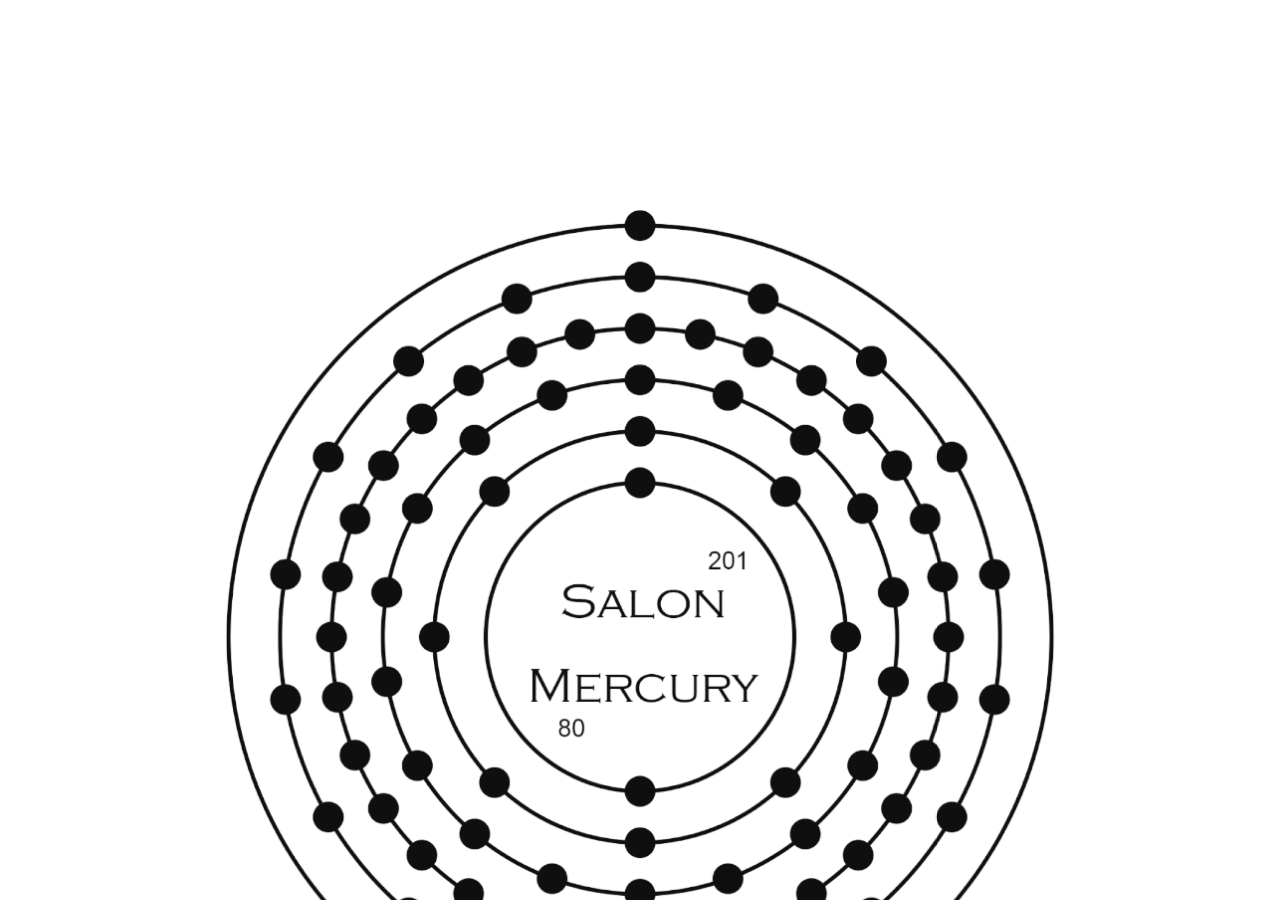 Screenshot of SALON MERCURY