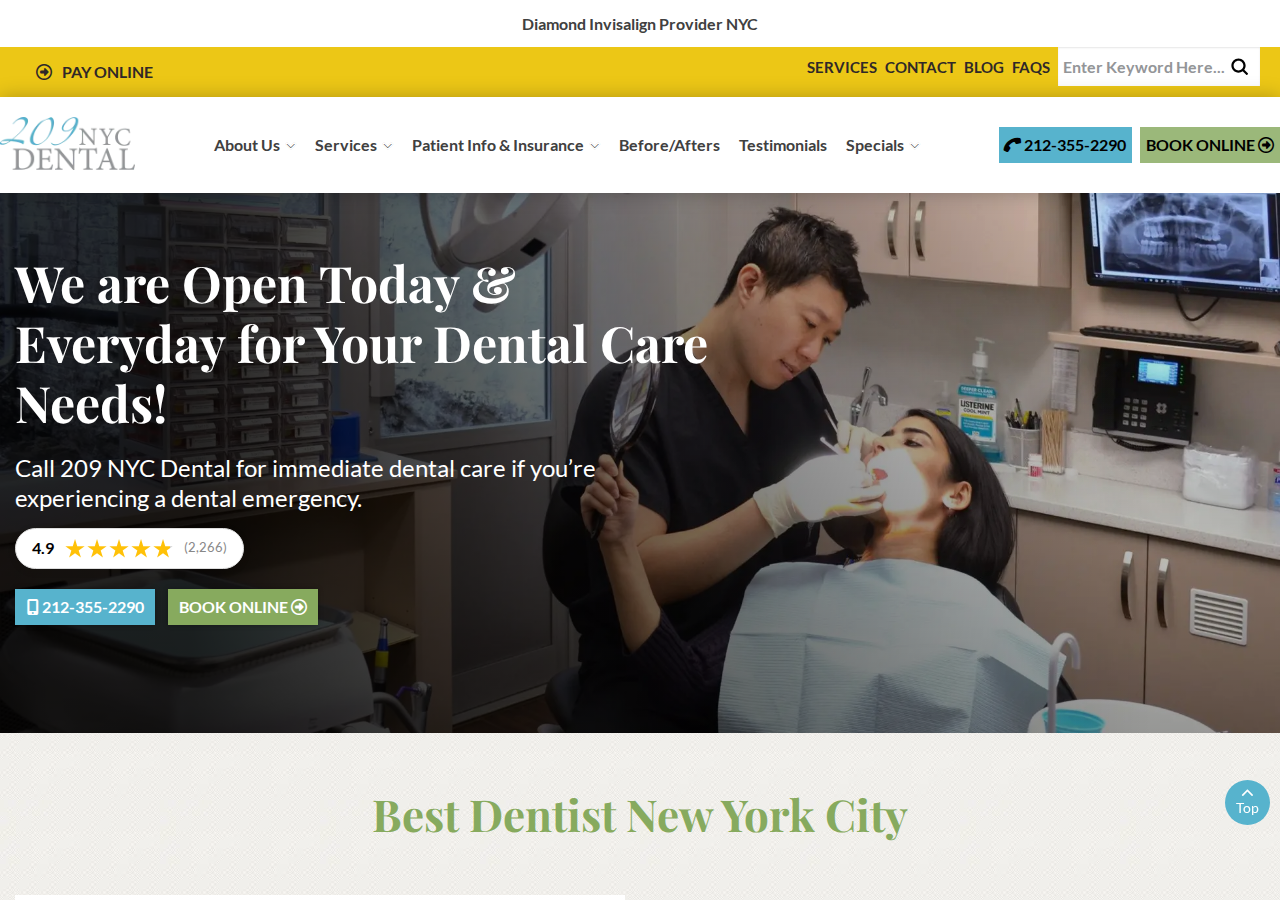 Screenshot of Dentist NYC | 209 NYC Dental | Same-Day Care, 7 Days a Week