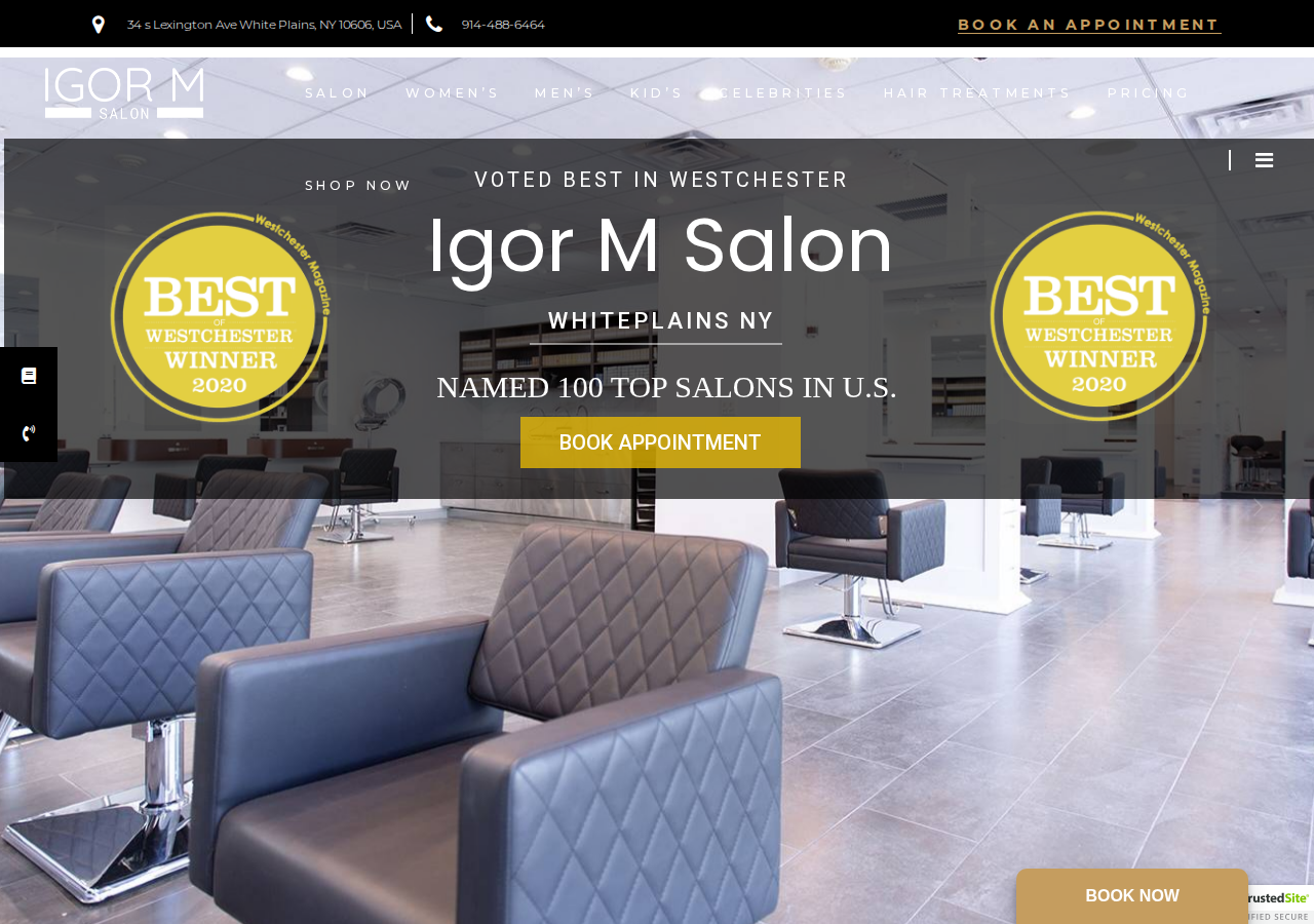 Screenshot of Hair Color Westchester NY - Best Salon in Westchester